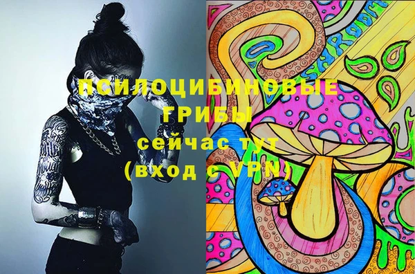 стаф Абдулино