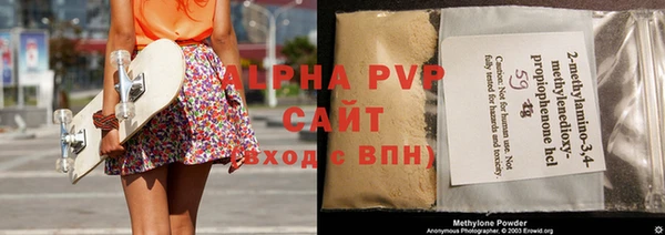 стаф Ельня