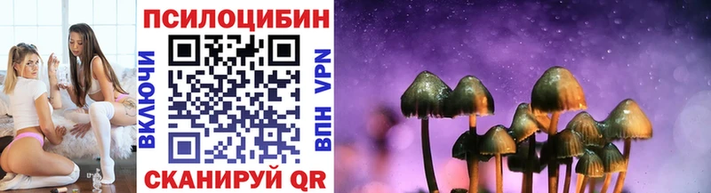 Галлюциногенные грибы Psilocybine cubensis  Иваново 